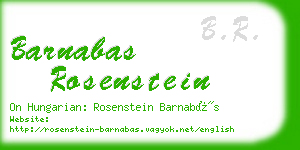barnabas rosenstein business card